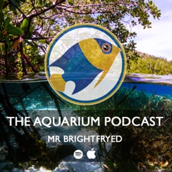 The Aquarium Podcast Live (Season 3 Finale)