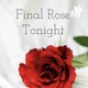 Final Rose Tonight