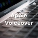 Apple Voiceover