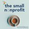 The Small Nonprofit