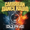 Caribbean Dance Radio artwork