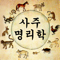 사주 명리학