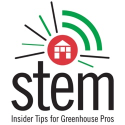 Insider tips for greenhouse pros: Success with Poinsettias (Part 2)
