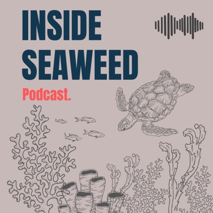 Inside Seaweed