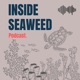 Inside Seaweed
