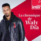 La chronique de Waly Dia - France Inter