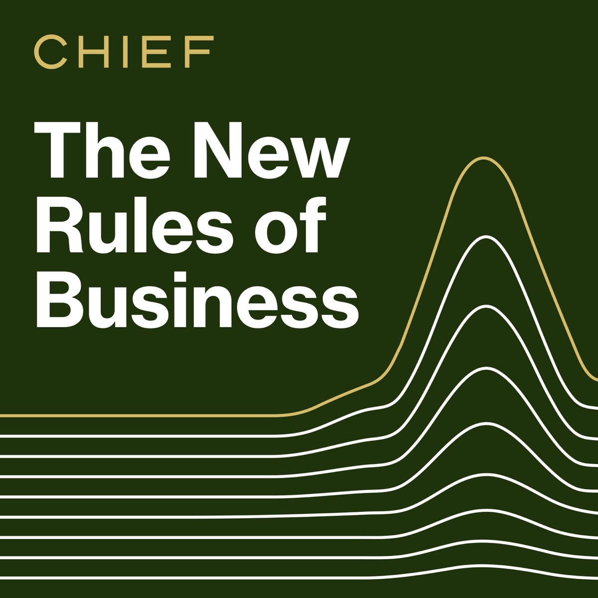 the-new-rules-of-business-coming-soon-the-new-rules-of-business