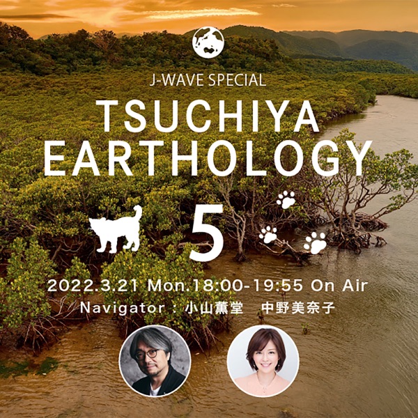 TSUCHIYA EARTHOLOGY