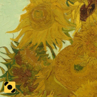 I Girasoli di sabato 08/05/2021