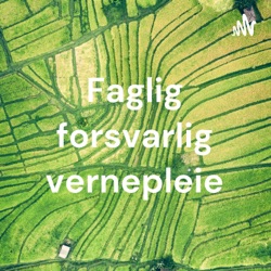 Faglig forsvarlig vernepleie