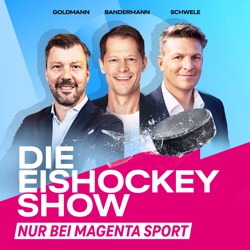 Die Eishockey Show