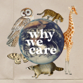 Why We Care - Tiphaine Marie Pittet