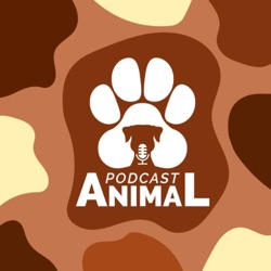 Podcast Animal 114 - Alimentação Natural e Crua para Pets com Joana Barros e Augusto Pedigone