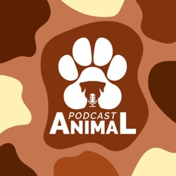 Podcast Animal 126 - A Veterinária no Zoológico com Lucas Cazati