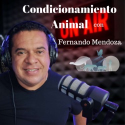 Condicionamiento Animal Con Fernando Mendoza
