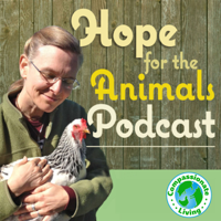 Bird Brainpower and Rescuing Pigeons with Elizabeth Young