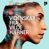 Videnskab fra vilde hjerner