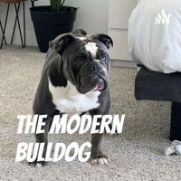 Jamie Sweet on the Bulldog of past and present 