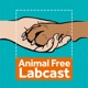 The Animal Free Labcast