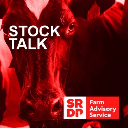 Stock Talk