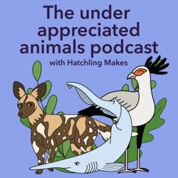 Introducing - The under appreciated animals podcast 🦑