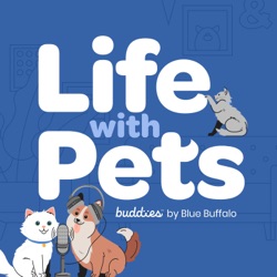 The Value Pets Have for Children in Their Lifetime