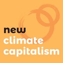 Episode #10. What does it feel like to be a climate scientist at the end of 2020?