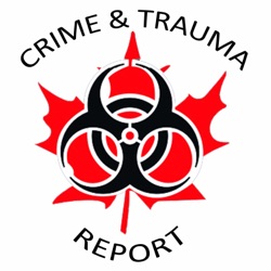 Crime & Trauma Report (12) 