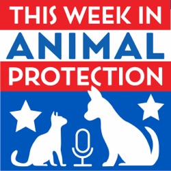 Yesterday, Today, and Tomorrow: Animal Sheltering in the United States