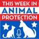 This Week in Animal Protection