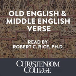 Linguistic and Social Change and the Unchanging Human Heart (Troilus & Criseyde, Book II, lines 22-28)