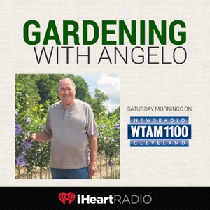 Gardening With Angelo