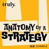 Anatomy of a Strategy artwork