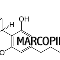 Marcopipko's Podcast podcast