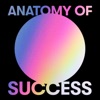 Anatomy Of Success artwork