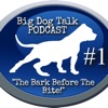 Big Dog Talk Podcast artwork