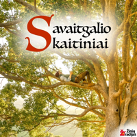 Savaitgalio Skaitiniai podcast