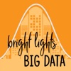 Bright Lights Big Data artwork