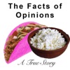 Facts Of Opinion: A True Story artwork