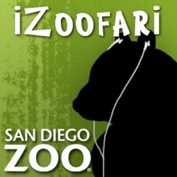 iZoofari Audio Tours at the San Diego Zoo