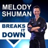 Melody Shuman Breaks it Down artwork