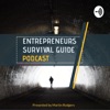Entrepreneurs Survival Guide  artwork