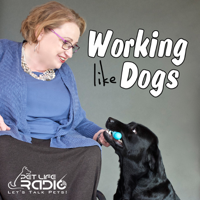 PetLifeRadio.com - Working Like Dogs - Episode 34 Jill Rappaport - Bow to Wow!