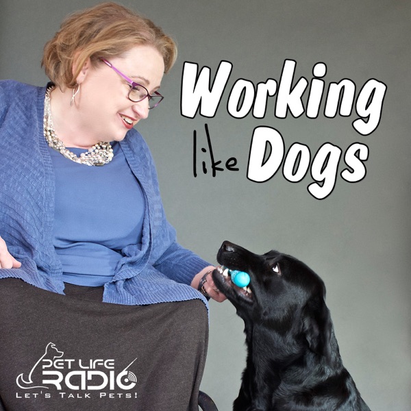 Working Like Dogs - Service Dogs and Working Dogs - Pets & Animals on Pet Life Radio (PetLifeRadio.... Artwork