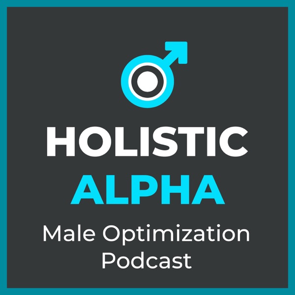 Holistic Alpha: Male Optimization Artwork