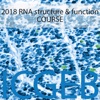 RNA structure and function 2018 artwork