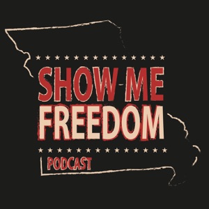 Missouri Public Defender Issues