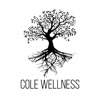 Cole Wellness: Build Your Best Life artwork