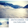 Arctic Canada - The Culture Cure artwork
