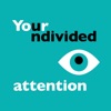 Your Undivided Attention artwork